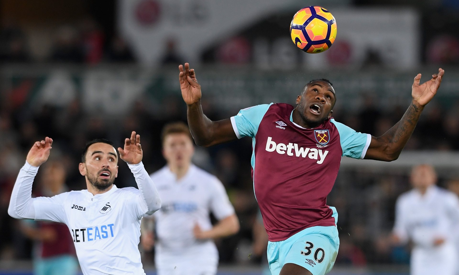 为他赢得了 为他赢得了