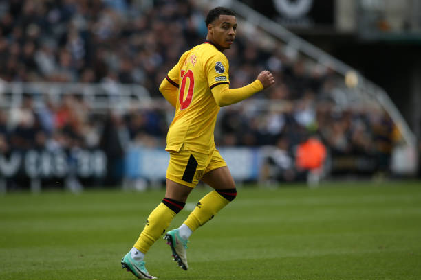 尤其是通过 尤其是通过